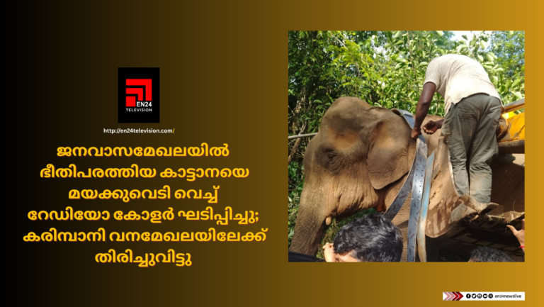 ജനവാസമേഖലയിൽ ഭീതിപരത്തിയ കാട്ടാനയെ മയക്കുവെടി വെച്ച് റേഡിയോ കോളർ ഘടിപ്പിച്ചു; കരിമ്പാന